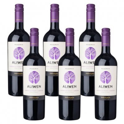 Aliwen 6x Cabernet Sauvignon Carménère Reserva